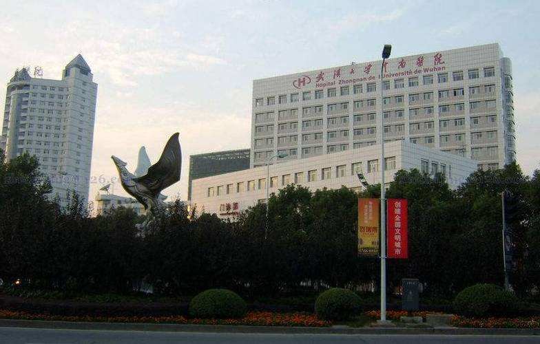 последний случай компании о Больница Zhongnan университета Ухань